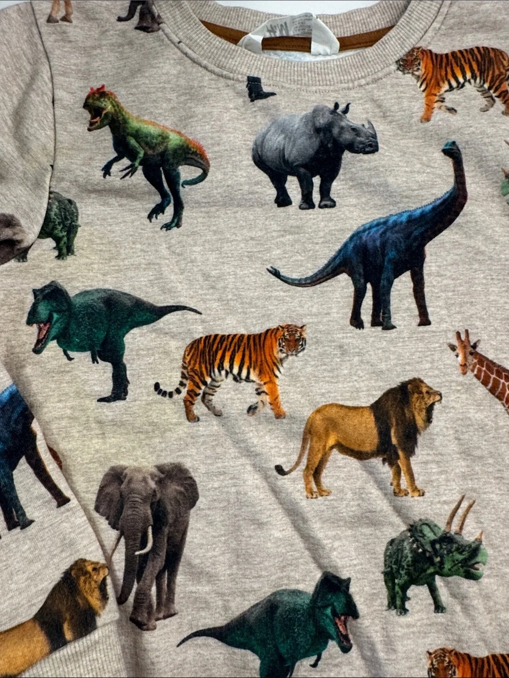 H&M Safari Animals Sweatshirt